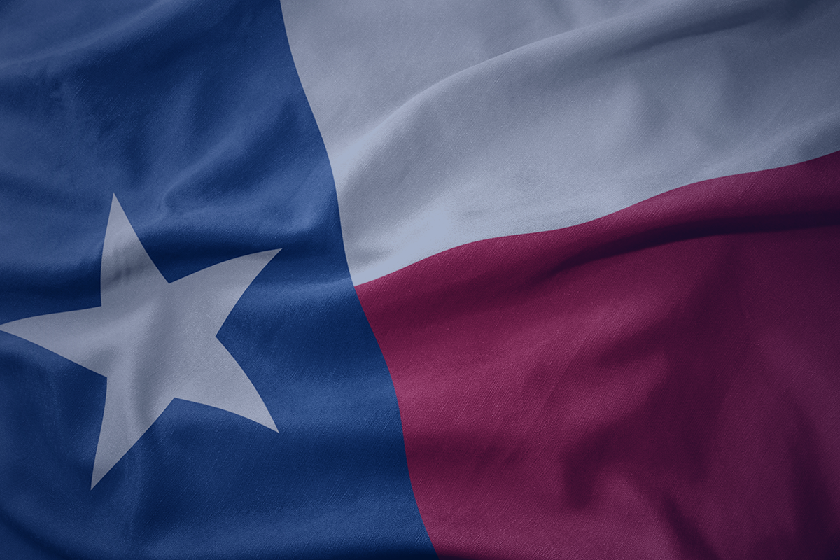 Photo of the Texas state flag covered with a blue filter