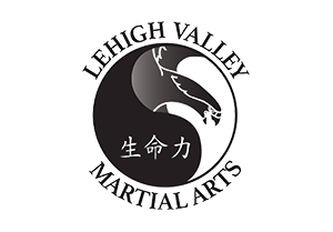 Lehigh Valley Martial Arts