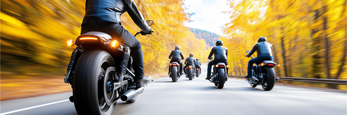 Five motorcyclists ride down a road lined with autumn trees, wearing black leather jackets and helmets.