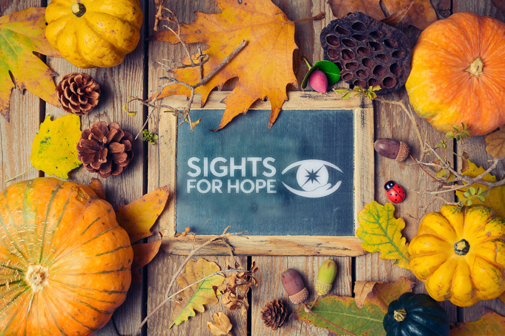 Autumn-themed image with a chalkboard displaying the Sights for Hope logo, surrounded by pumpkins, leaves, pinecones, and acorns on a wooden surface.